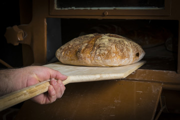 Panadero sacando una hogaza de pan de masa madre del horno tradicional de la panadería