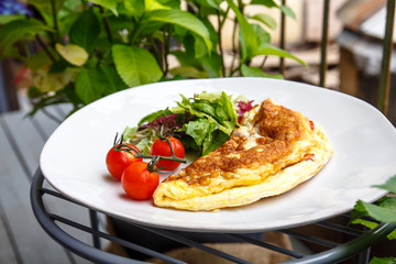 French omelet with tomatoes lies on the plate.