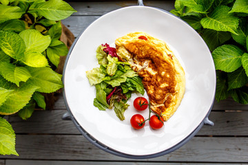 French omelet with tomatoes lies on the plate.