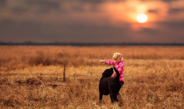 A Five Year Old Girl Wearing A Pink Plaid Shirt And Pigtails In Her Hair Standing Beside A Black Dog In A Harvested Field Under A Cloudy Sunset In Rich Colors