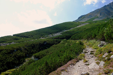 Fototapeta premium High Tatras above Tatranska Lomnica