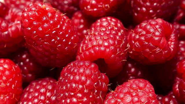 Fresh raspberry fruits as food background. Healthy food organic nutrition. Day light getting darker 4K ProRes HQ codec