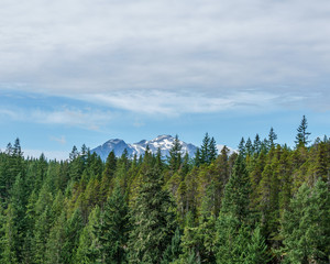 Mountain far away through the forest with blue sky and white clouds summer landscape.