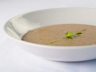 cream soup in white bowl isolated
