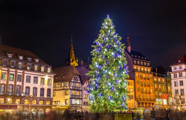 Fototapeta na wymiar Christmas tree at the famous Market in Strasbourg, France