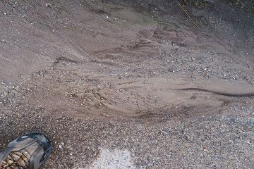 Obraz premium Silt deposits eroded from a vacant lot form patterns where they settled in the morning after a heavy rain