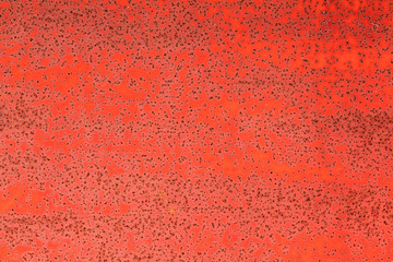 Old metal red painted background with streaks of rust for creativity, textures and backgrounds.