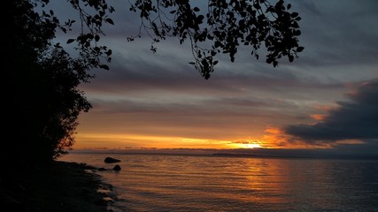 Fototapeta na wymiar Ocean Sunset Under Tree