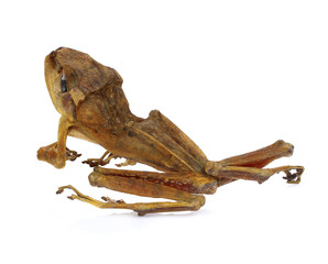 Dried frog isolated on white background.