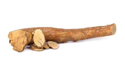 eurycoma longifolia also known as tongkat ali isolated on white background.