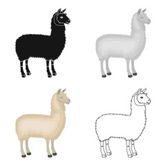 Lama, a South American pack animal. A lame, a cloven-hoofed mammal single icon in cartoon style vector symbol stock illustration web. © pandavector