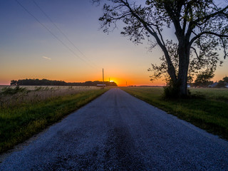 A summer sun setting at the end of a long country road with the silhouette of a tree in Indiana, USA