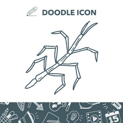 Stick insect doodle