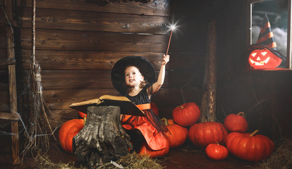  Halloween.  little witch   conjures with  book of spells,  magic wand and pumpkins