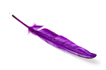 Original pen in form of cock's feather on white background