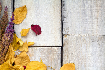 Autumn red and orange leaves Fall wooden background