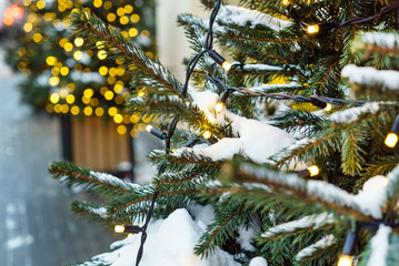 Christmas winter green tree