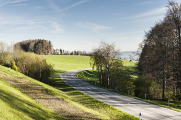 Fototapeta premium Road between pastures in Switzerland