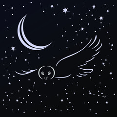 Obraz na płótnie Canvas the owl flies by night in the sky
