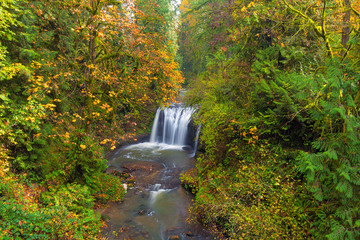 Hidden Falls in Autumn season Happy Valley Oregon USA America