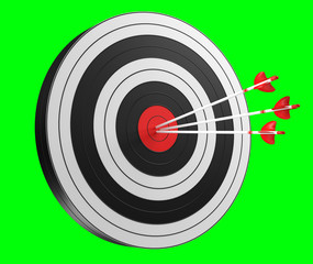 3D rendering target black white and red target with arrows