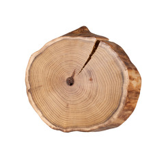 Fototapeta premium Cross-section of a tree on a white background