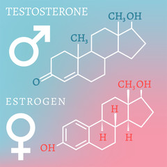 Testosterone and Estrogen