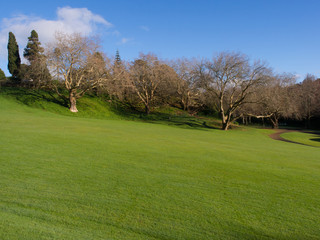 Open Park Space