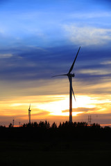 Obraz premium Wind turbines in the evening