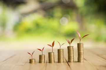 Growing plant on row of coin money , csr in business