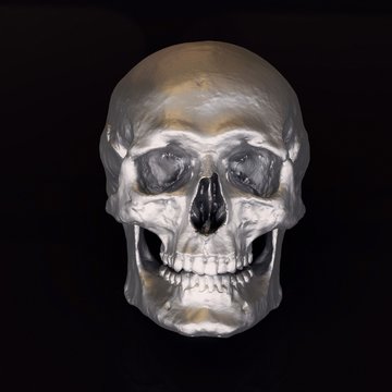Straight on steel skull sculpture with warm fill lighting.
