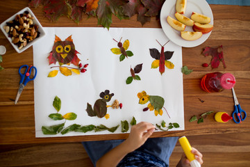 Sweet child, boy, applying leaves using glue