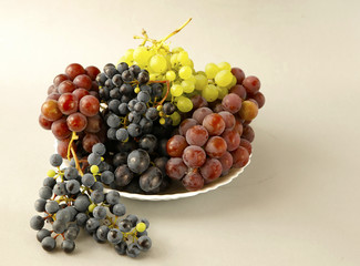juicy grapes or a frame with grape on the white