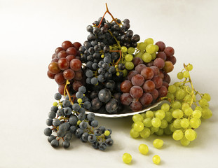 juicy grapes or a frame with grape on the white