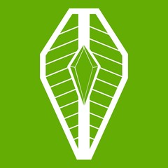 Shield icon green
