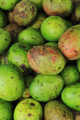 mango fruits background