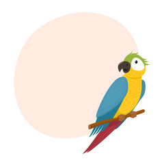 Cute macaw, ara parrot sitting on tree branch, exotic tropical bird and place for text, cartoon vector illustration isolated on white background. Cartoon style macaw, ara parrot sitting on a branch