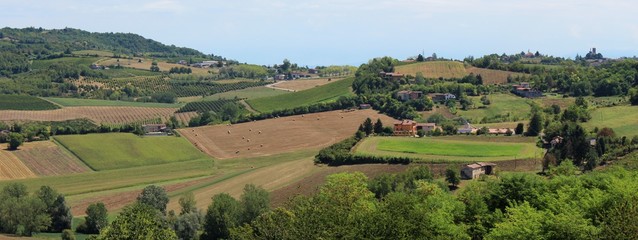 Fototapeta na wymiar hills of the monferrato