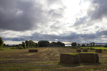 Field with Haystacks
