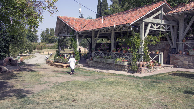 Waitress carrying lunch to the rural restaurant in a winery in Georgia, Kahetia