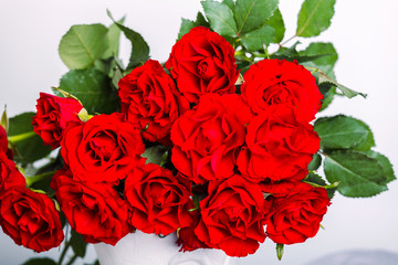 The Red roses