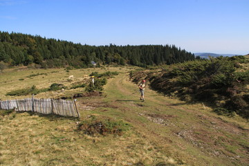 Fototapeta na wymiar sentier de randonnée en Auvergne