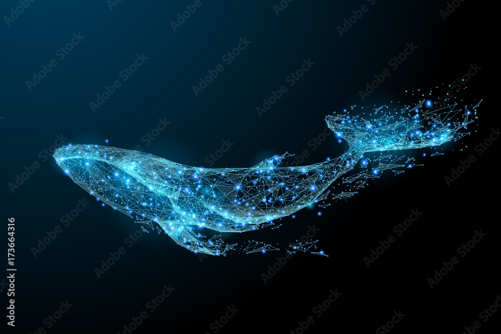 Leinwandbilder blue whale composed of polygon. marine animal digital concept. low poly vector illustration of a sta