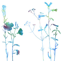 Background with drawing herbs and flowers