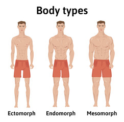 Constitution of human body. Man body types. Endomorph, ectomorph and mesomorph. Athletic young men in shorts. Vector illustration, isolated on white background.