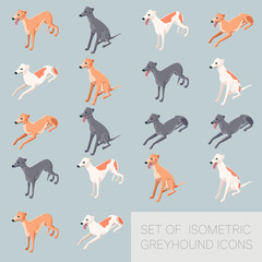 Set of greyhound icons