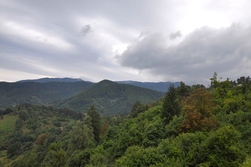 Mountains covered with green trees