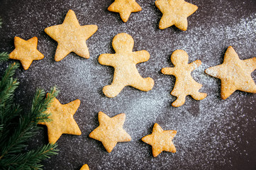 Different shapes of gingerbread cookies