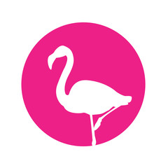 Naklejka premium Icono plano flamenco en circulo rosa