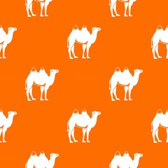 Camel pattern seamless